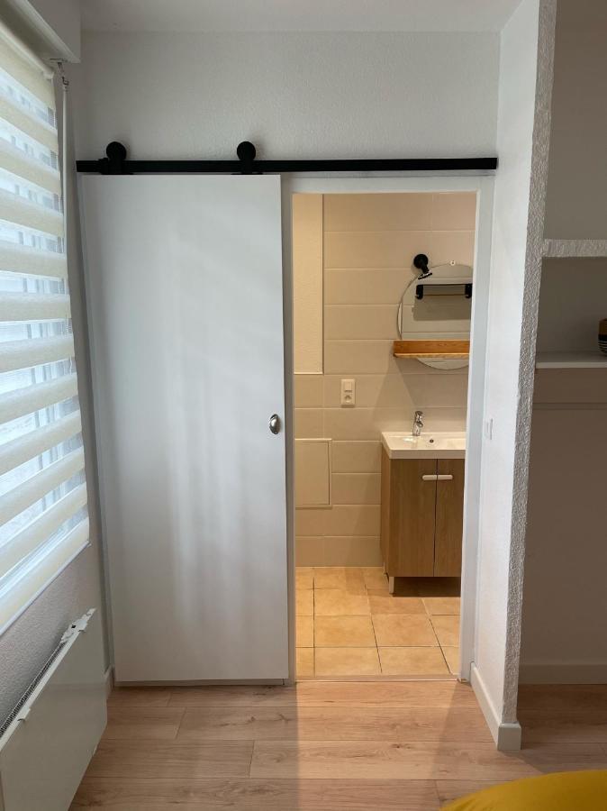 Appart Avec Chambre Lumineux Et Chaleureux Le Boulou Exterior foto